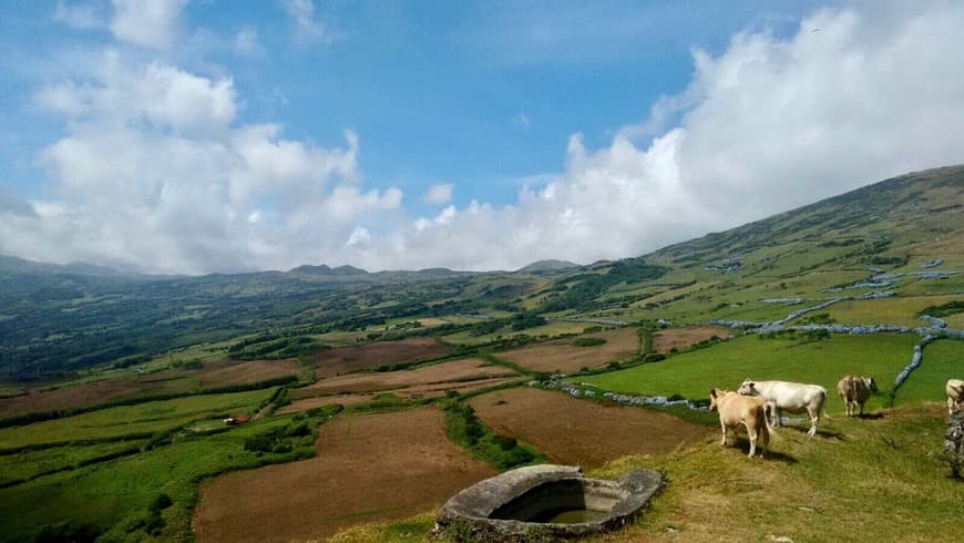 Place Ilha do Pico