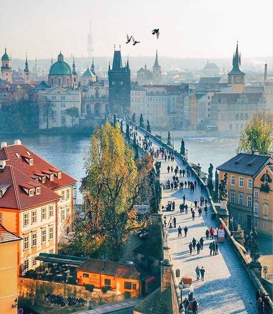 Place Charles Bridge