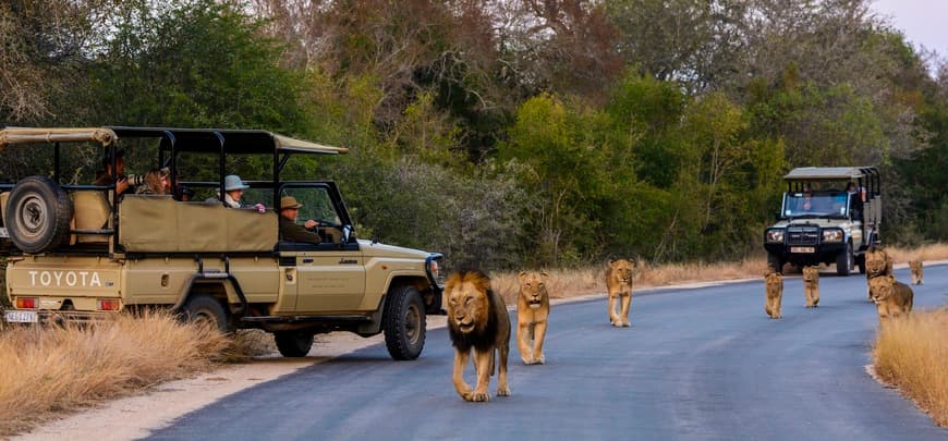 Lugar Parque nacional Kruger