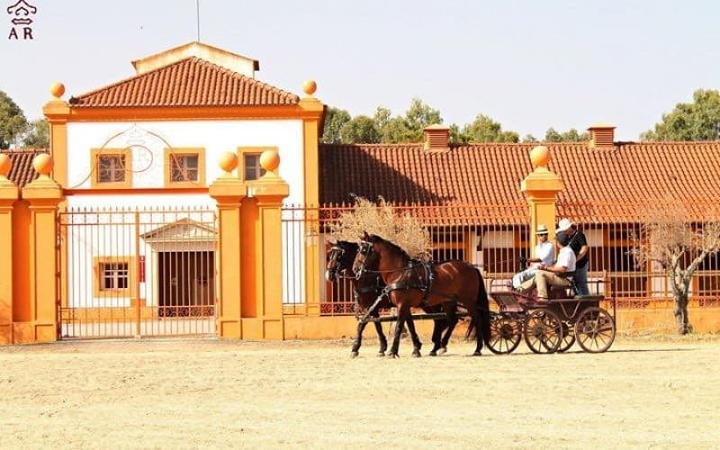 Lugar Coudelaria de Alter