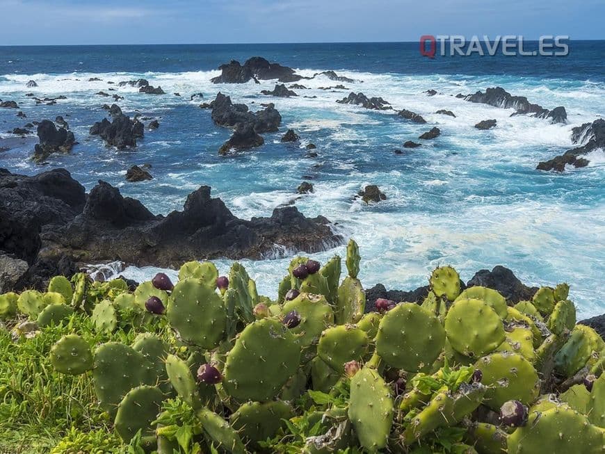 Lugar Piscinas Naturais Caneiros