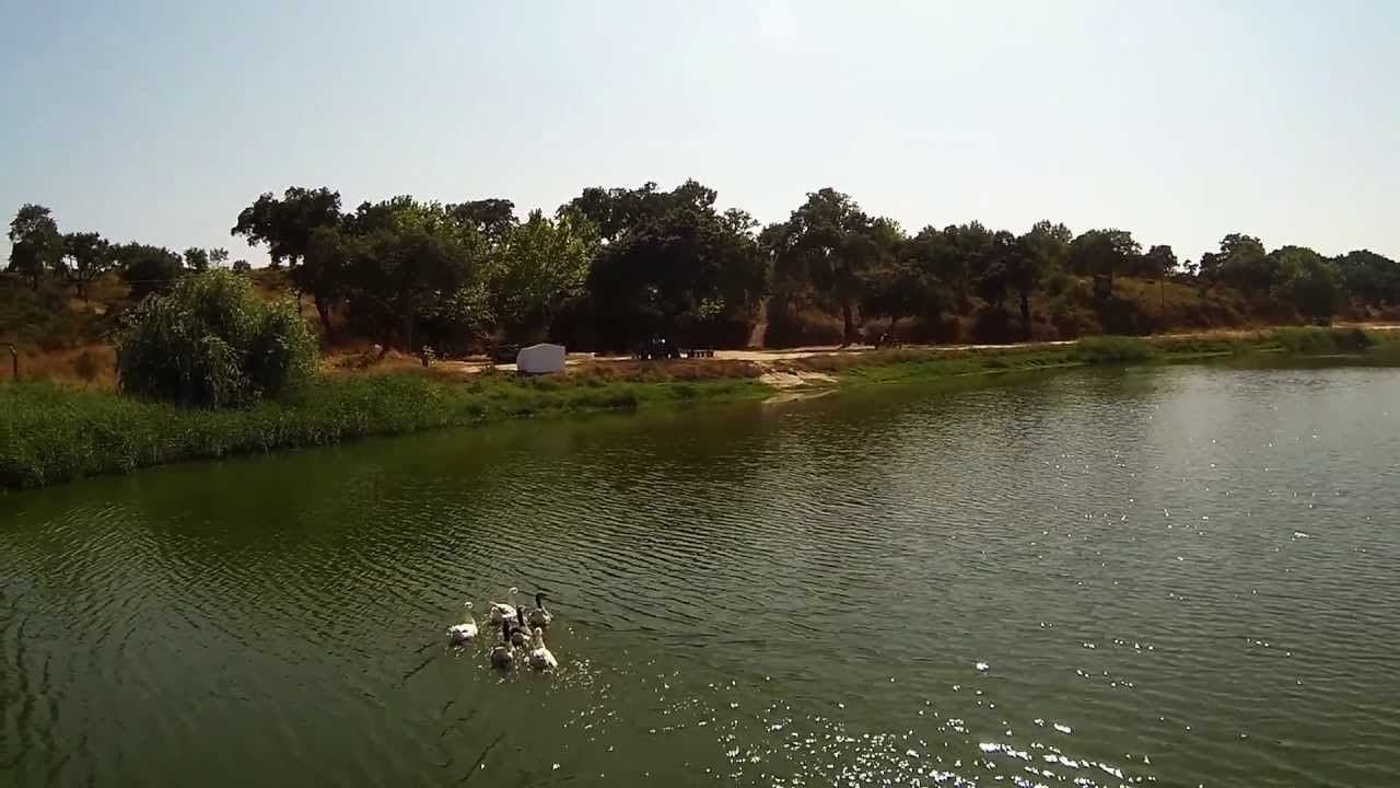 Lugar Bar Barragem Dos Patudos