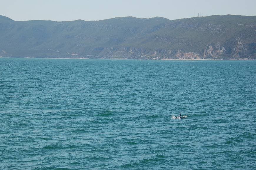 Lugar Reserva natural del Estuario del Sado