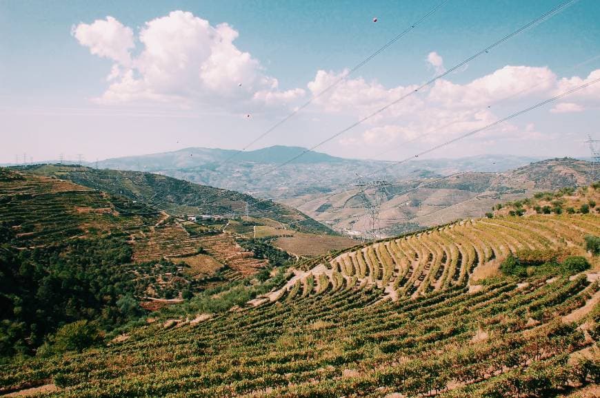 Lugar Vale do Douro