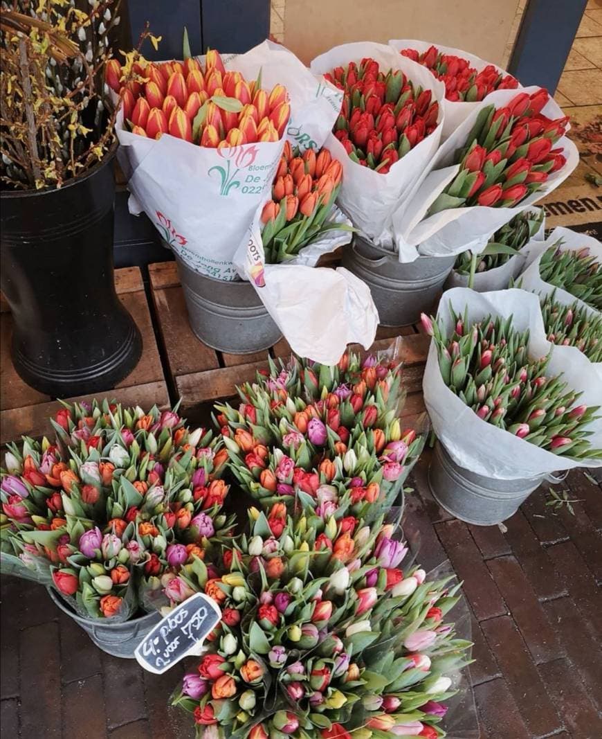 Fashion Flower Market