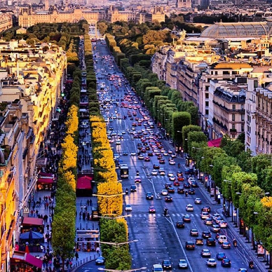 Lugar Avenue des Champs-Élysées