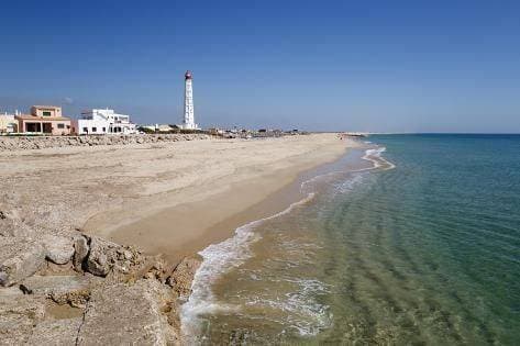 Lugar Ilha do Farol