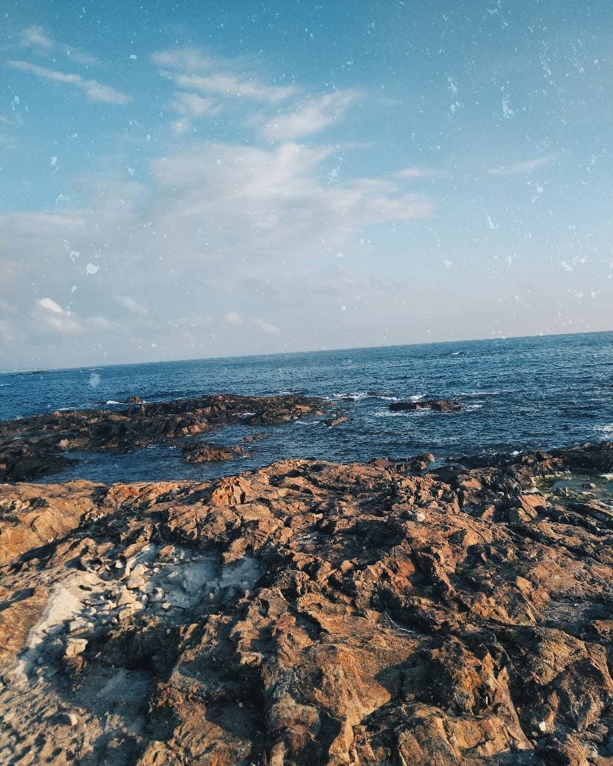 Lugar Matosinhos Beach