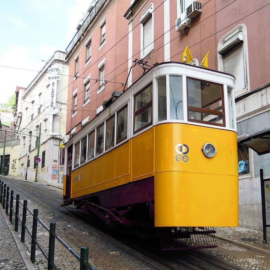 Lugar Elevador da Glória