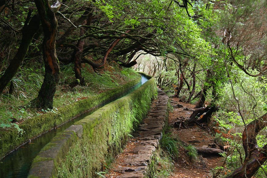 Place PR6 Levada das 25 Fontes / Levada do Risco