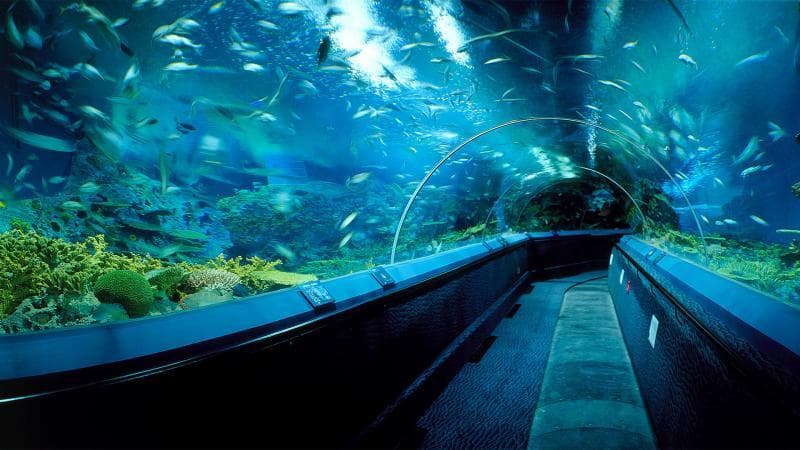 Place Shanghai Ocean Aquarium