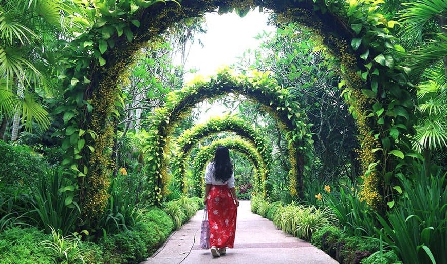 Place Jardín Botánico de Singapur