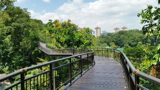 Place Kent Ridge Park