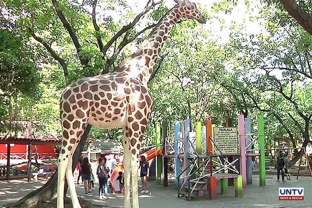 Place Manila Zoo