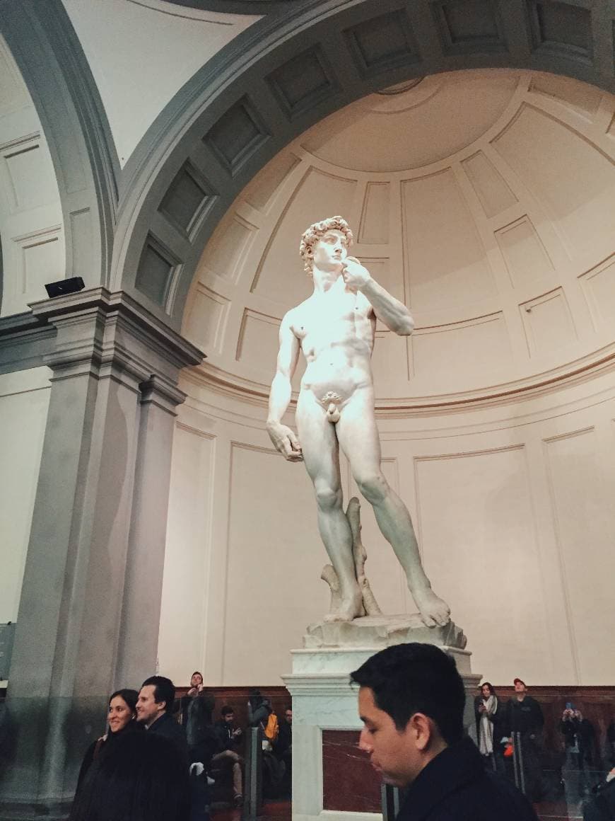 Place Galleria dell'Accademia di Firenze