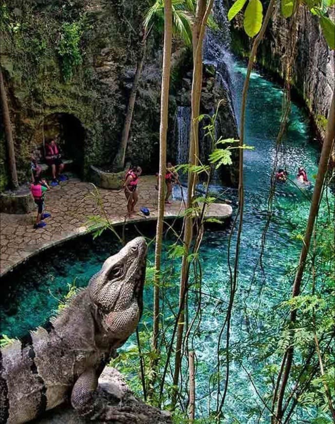 Place Xcaret