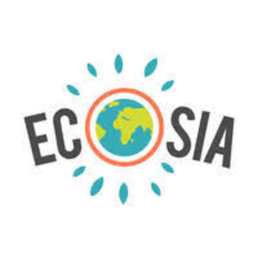 Moda Ecosia 