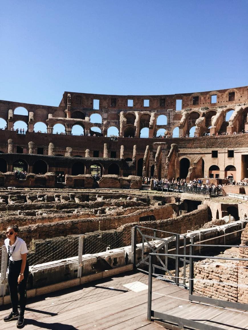 Lugar Coliseo de Roma