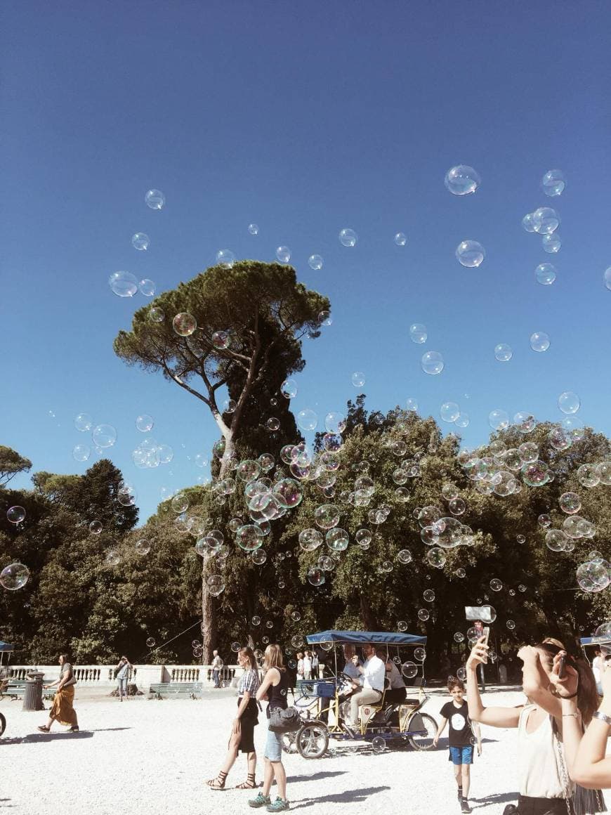 Place Villa Borghese