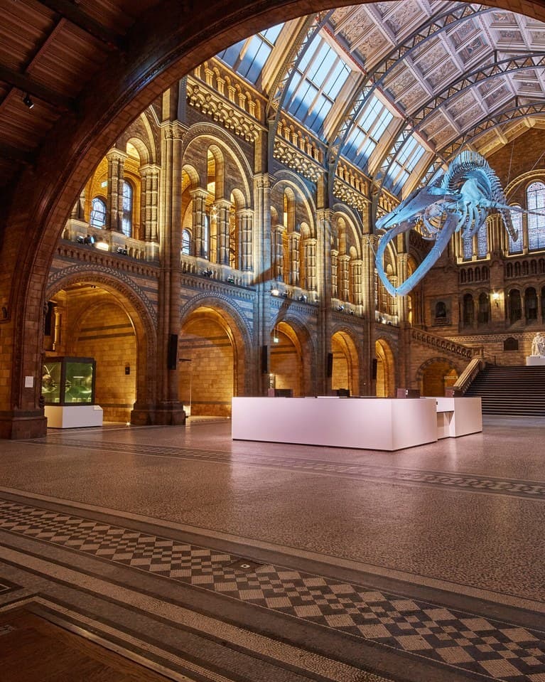 Place Natural History Museum