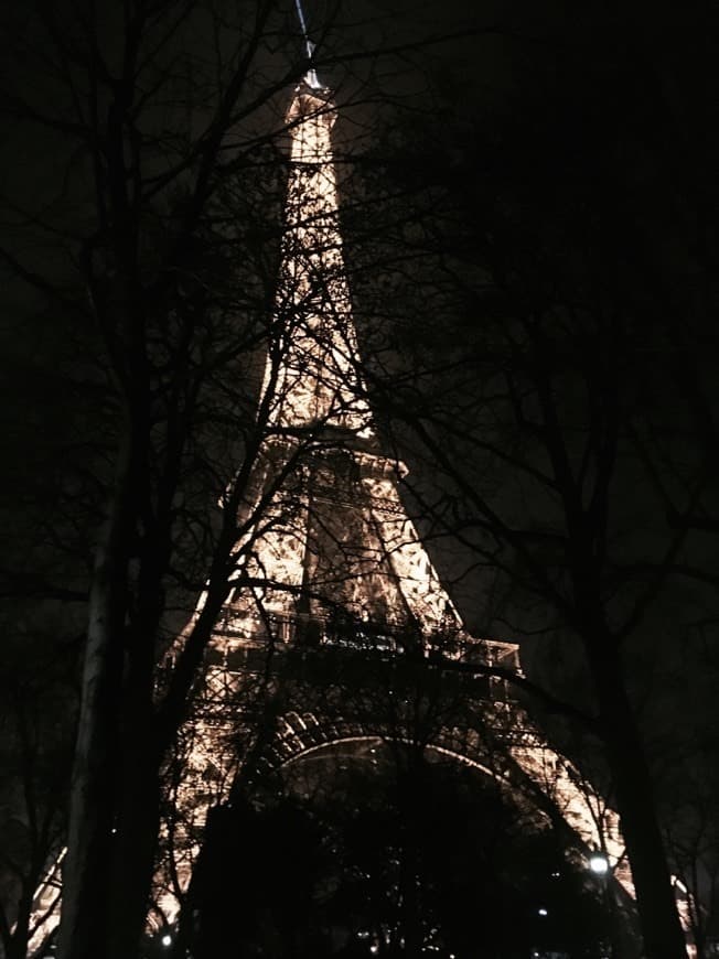 Lugar Torre Eiffel