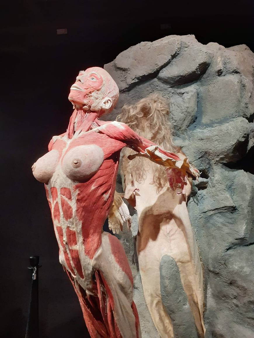 Lugar Body Worlds