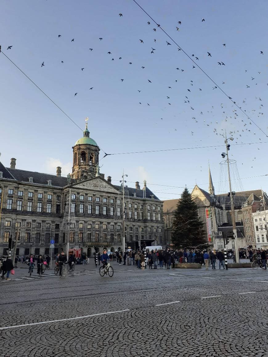 Lugar Dam Square