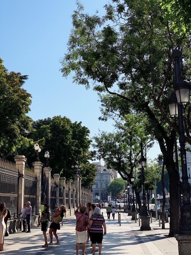 Place Calle de Alcalá