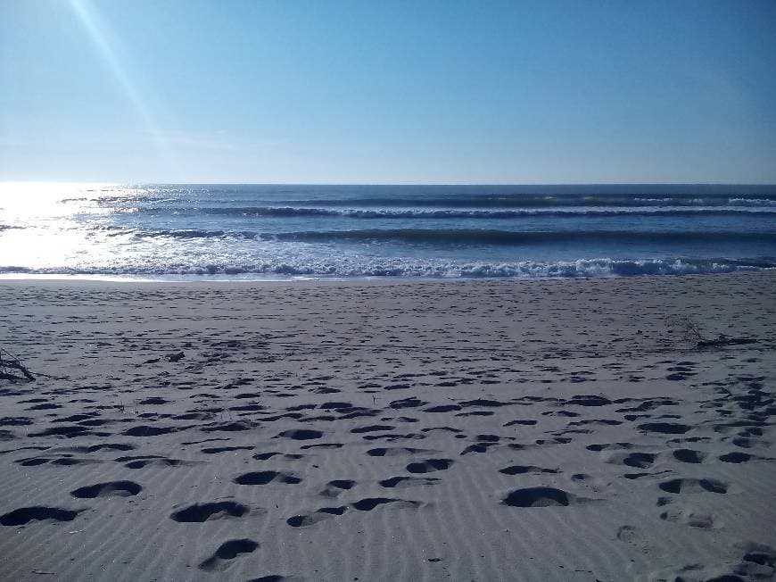 Lugar Praia de Vila Praia de Âncora