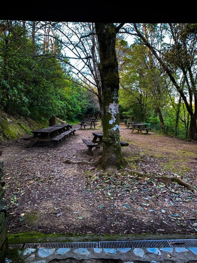 Place Mata Nacional de Vale de Canas