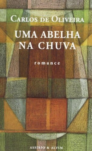 Libro Uma abelha na chuva