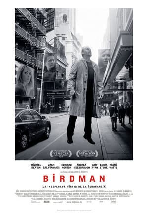 Película Birdman or (The Unexpected Virtue of Ignorance)