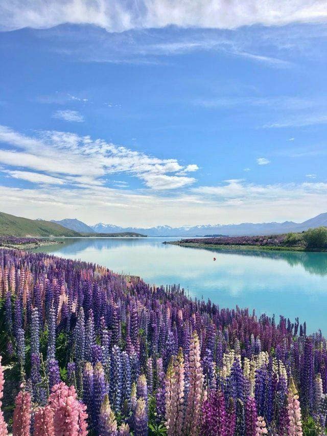 Place Lake Tekapo