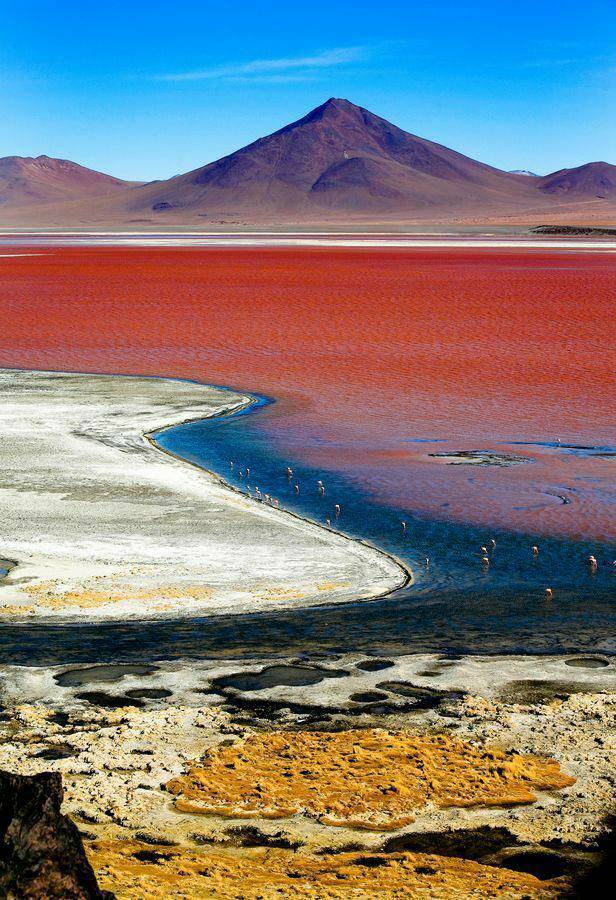 Place Laguna Colorada