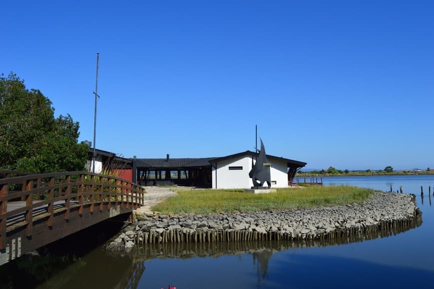 Place Praia do Areínho