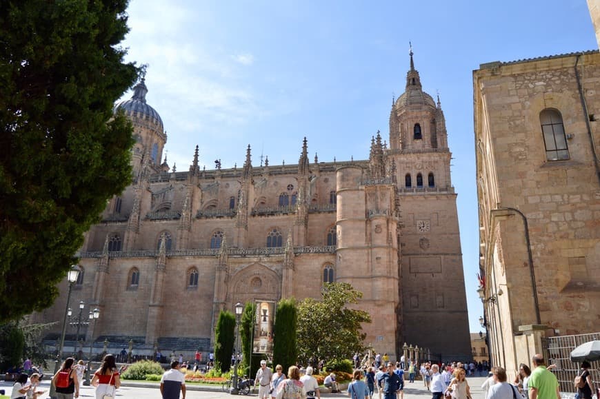 Lugar Plaza de Anaya