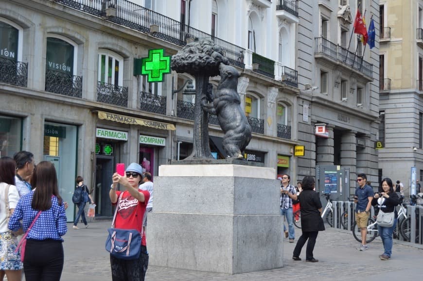 Place El Oso y el Madroño