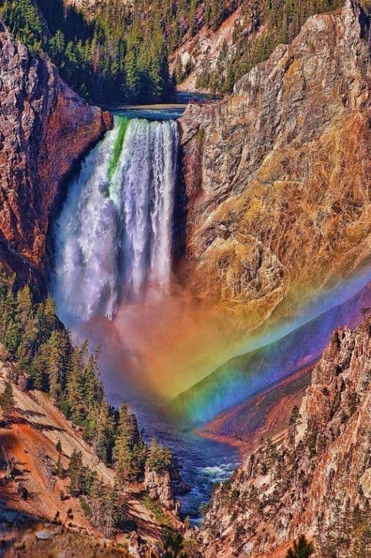 Place Parque Nacional Yellowstone