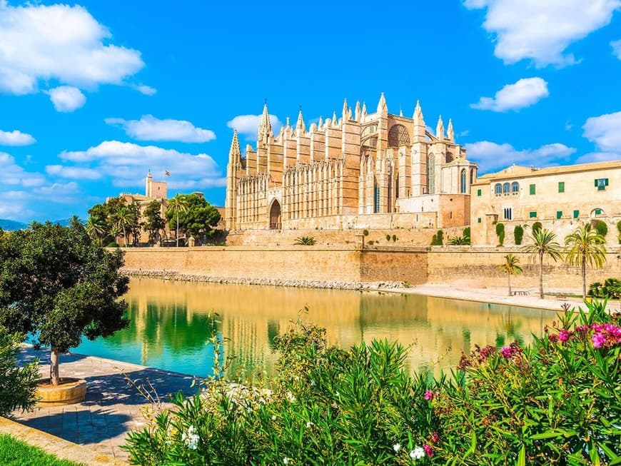 Lugar Palma de Mallorca