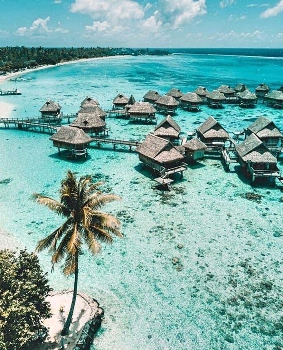 Lugar Maldive Islands