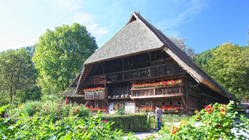 Lugar Black Forest Open Air Museum