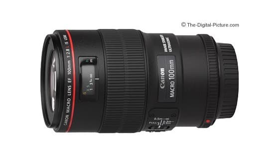 Producto Canon EF 100mm f/2.8L IS USM Macro Lens