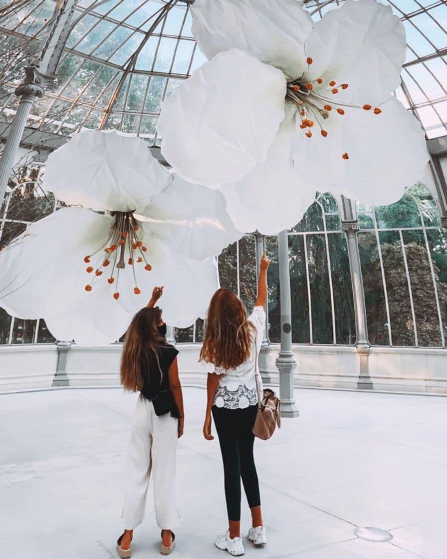 Lugar Palacio de Cristal