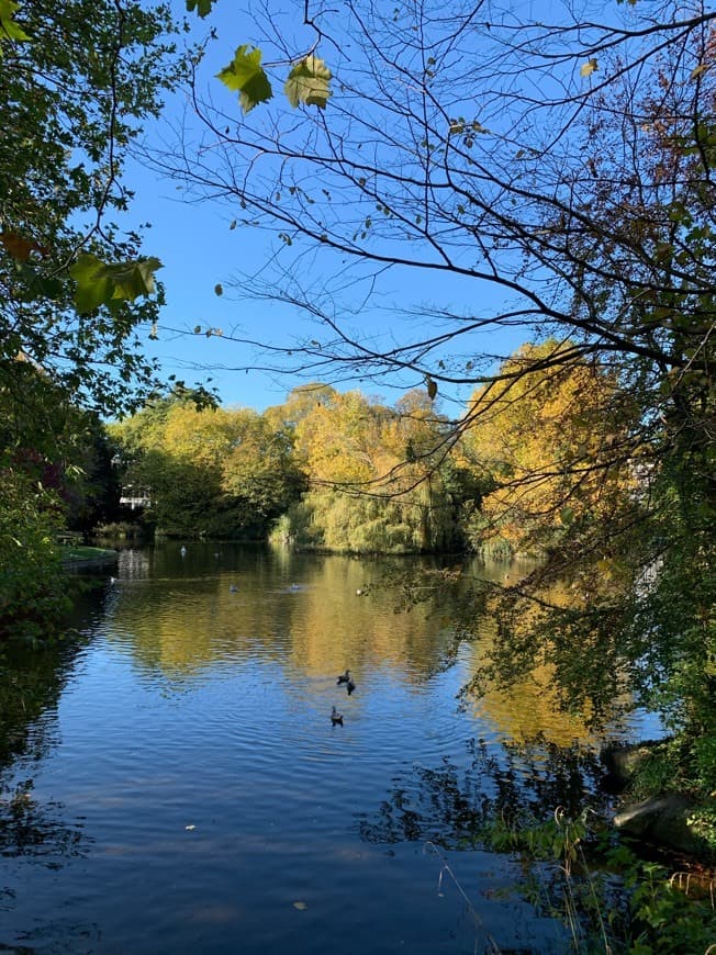 Lugar St Stephen's Green