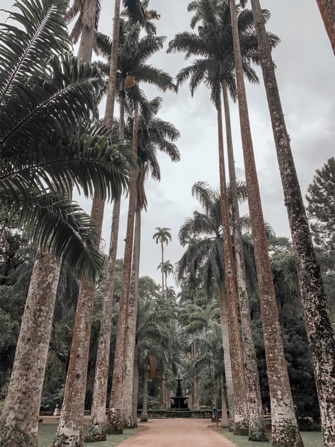 Lugar Jardim Botânico