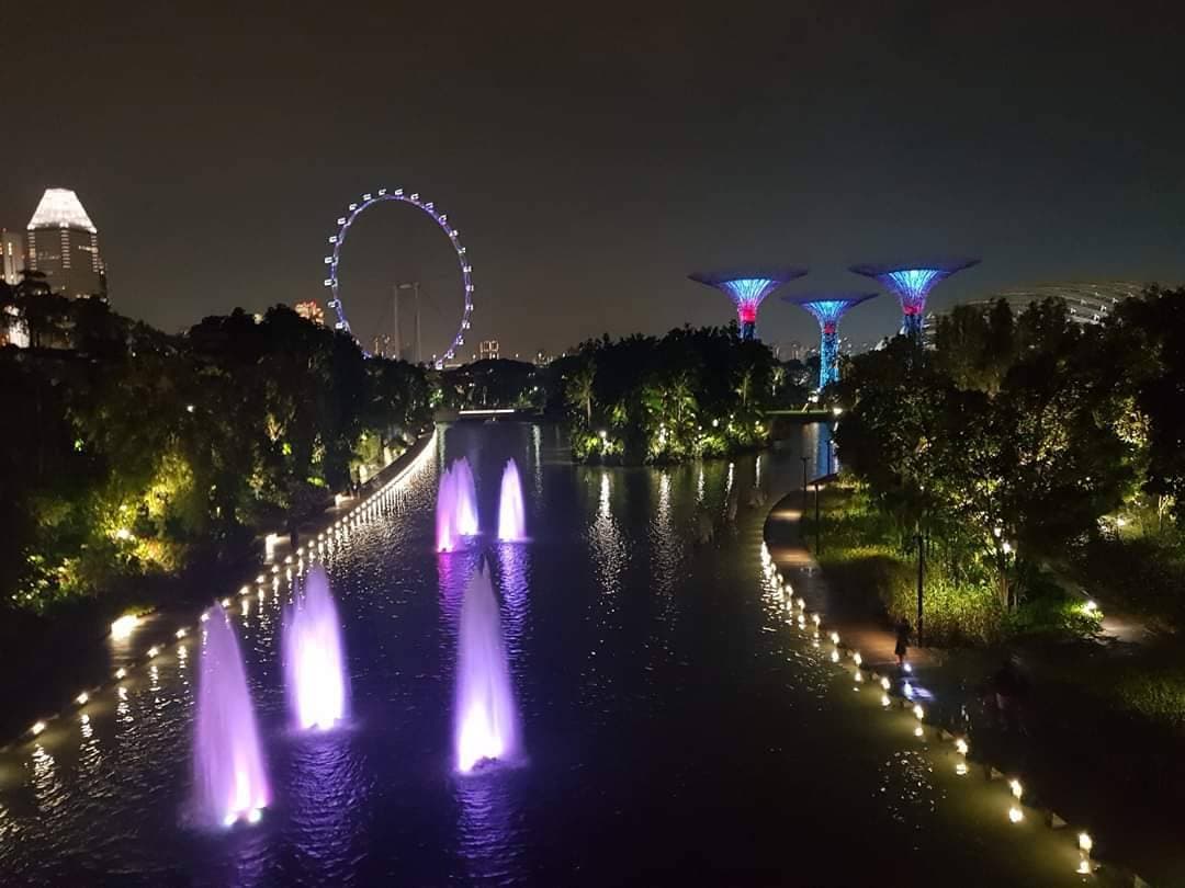 Lugar Garden by the Bay - Orchid Extravaganza