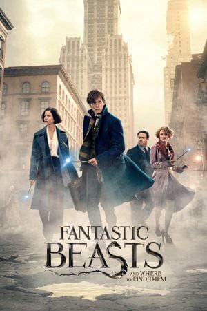 Película Fantastic Beasts and Where to Find Them