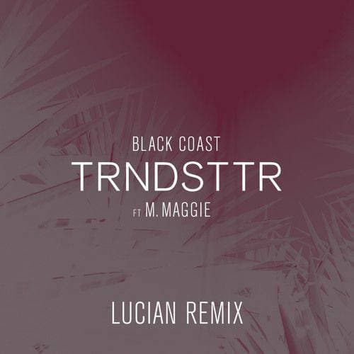 Canción Black Coast (Lucian Remix) - TRNDSTTR