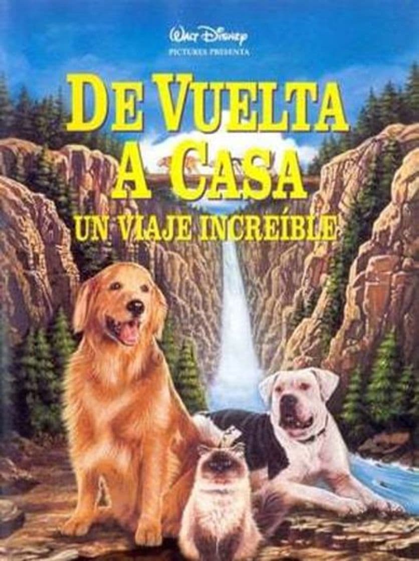 Película Homeward Bound: The Incredible Journey