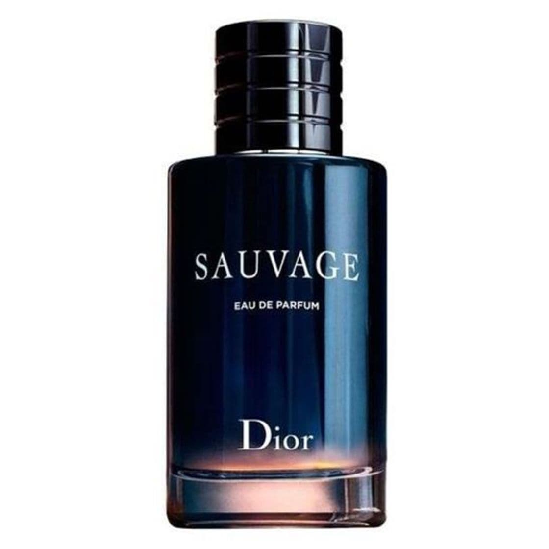 Moda Sauvage Dior - Perfume Masculino - Eau de Parfum 100ml - Incolor ...